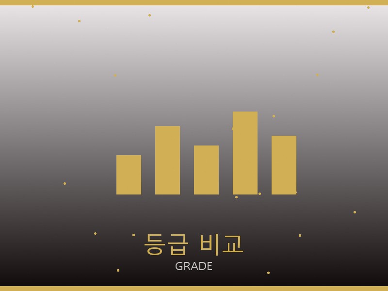 디올 레플리카 사이트 등급 기준 비교